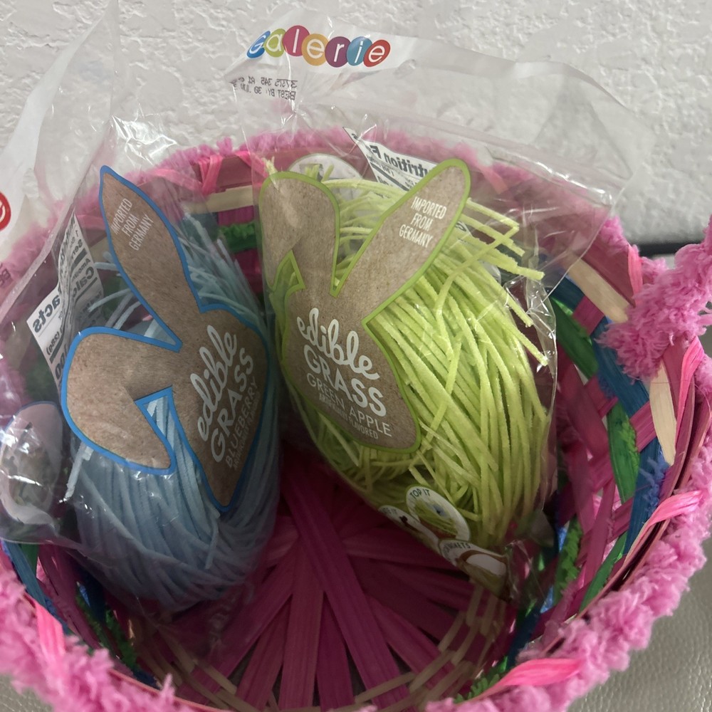EASTER: Large Chenille EASTER BASKET MULTICOLOR! FREE EASTER GRASS! NEW