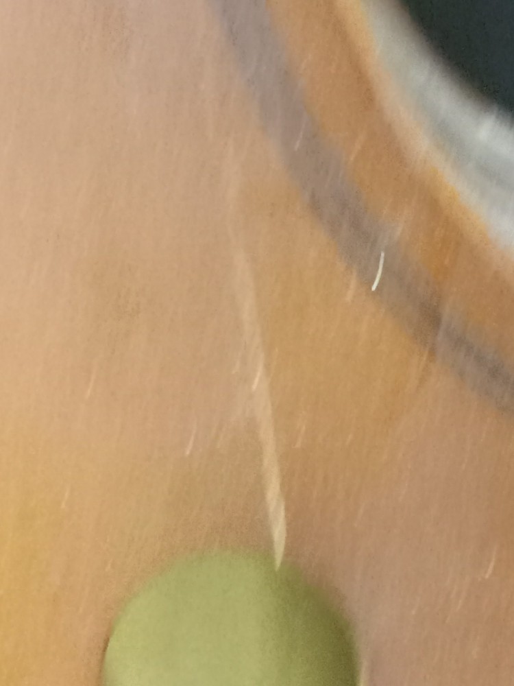 Engelhardt E5534 1/2 cello serial 2428 - Natural