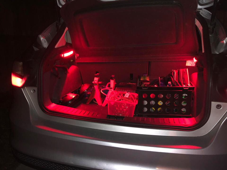 Fiesta Dual Cargo Light Kit 2009-2017 Hatchback Plug n Play