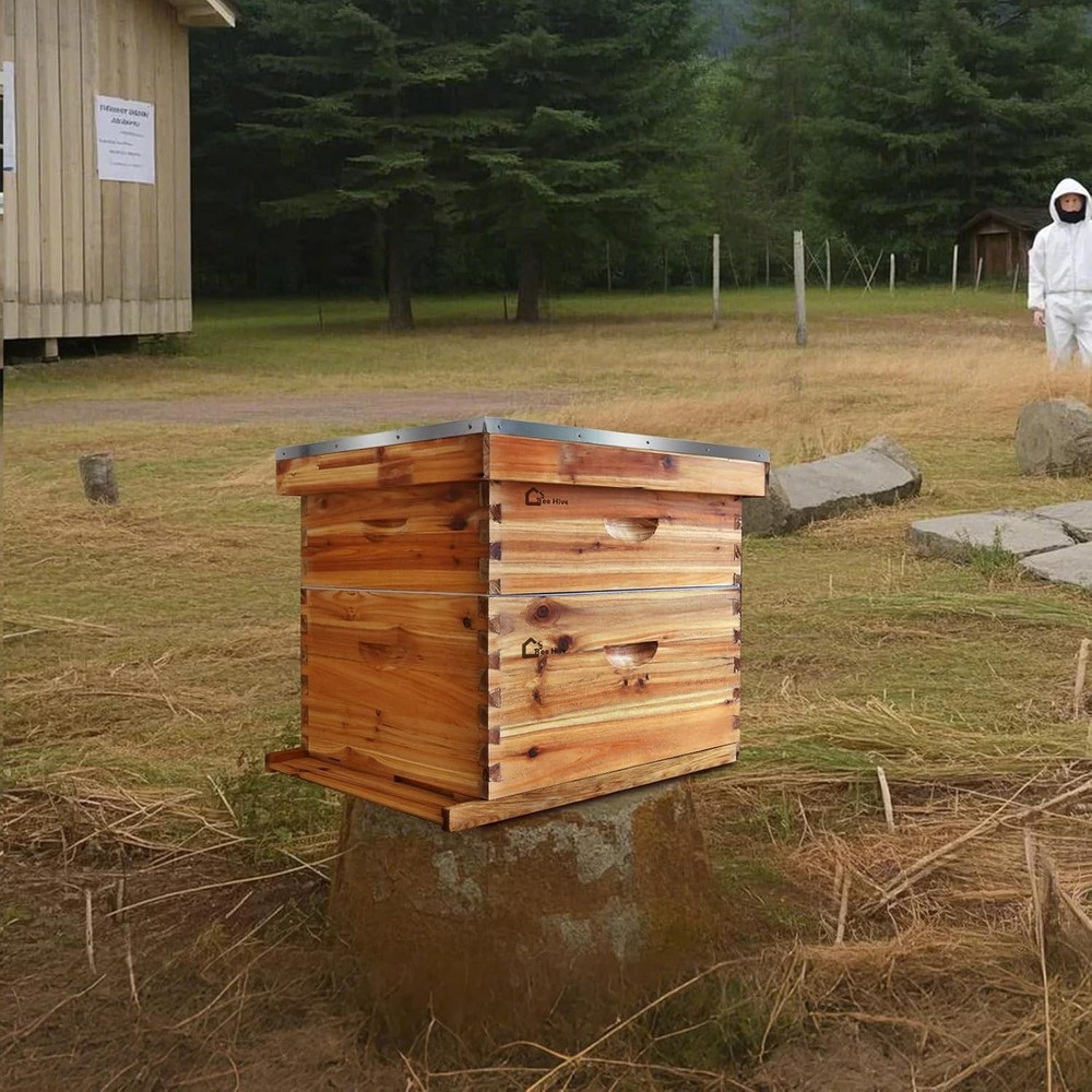 Beehive 10-Frame Langstroth Bee Hive Coated with Beeswax, Beehive Starter Kit