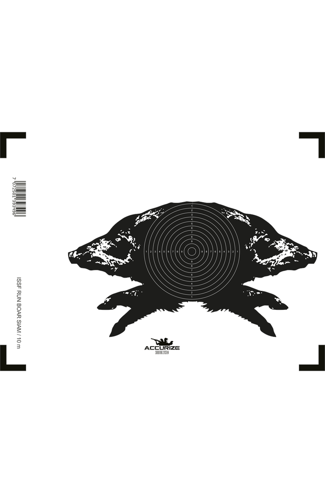 Front target for Accurize shooting system