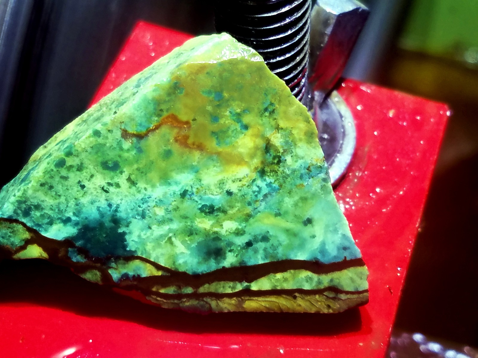 AAA Oregon Vistaite Jasper Slab VIBRANT COLORS Cabochon Gemstone Lapidary DzT051