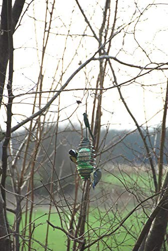 Spring Bird Feeder, Set of 4 1