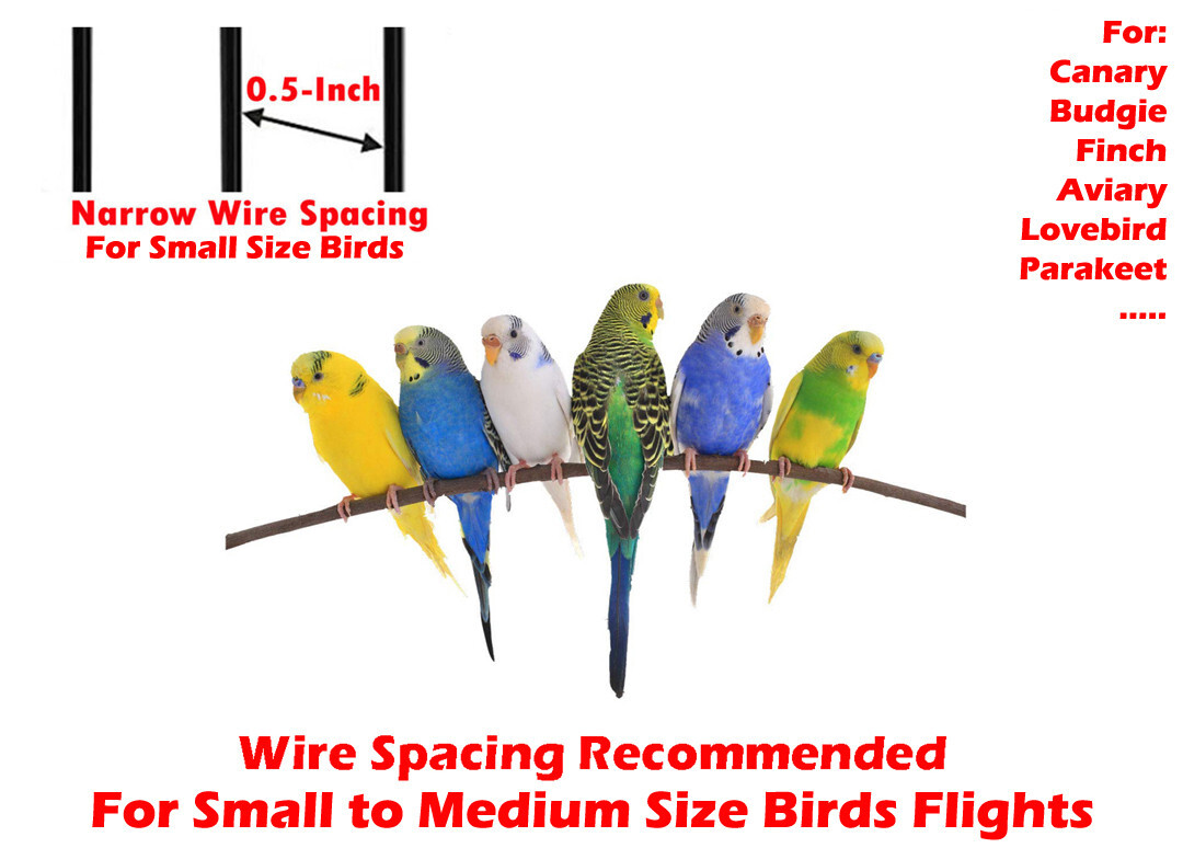 X-LARGE Corner Flight Bird Cage Cockatiel Parakeet Budgies Parrot W/Seed Skirts