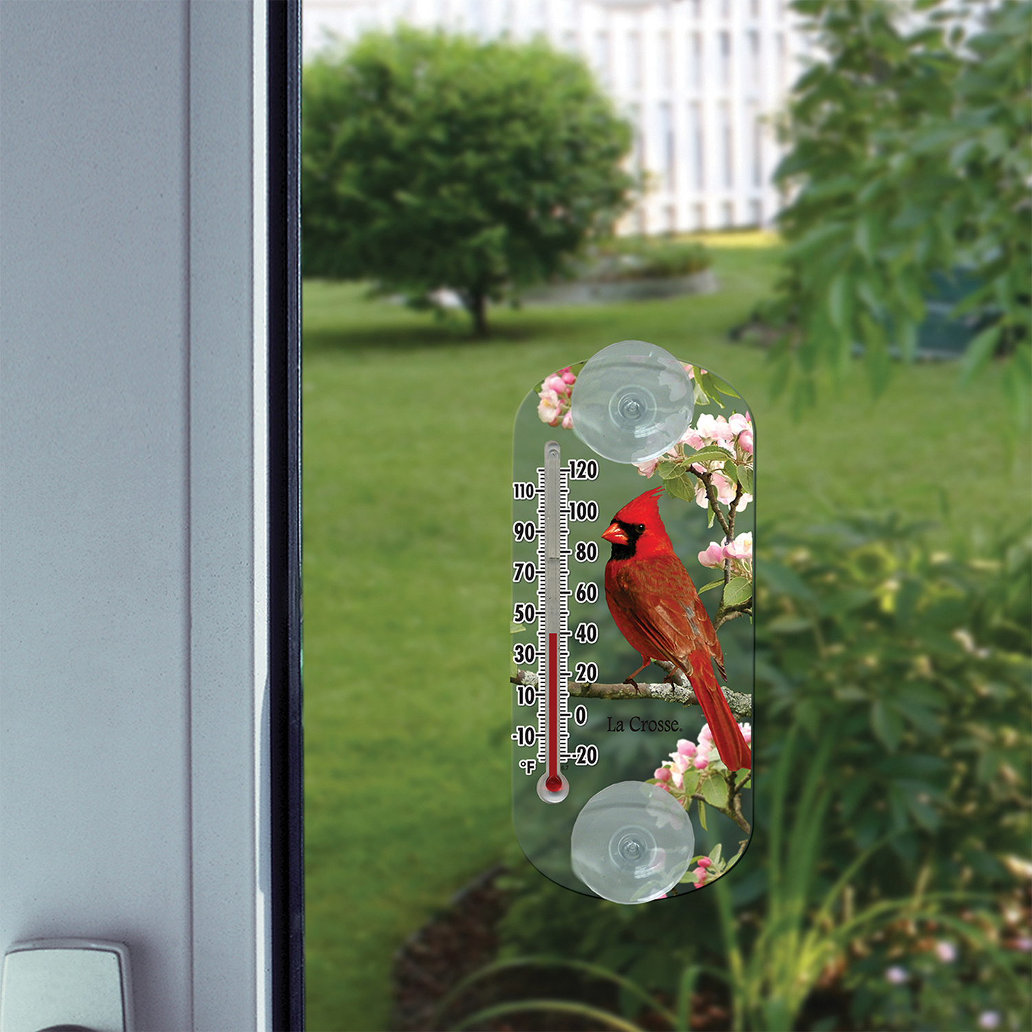 204-1081 La Crosse 8" Indoor/Outdoor Clear Window Thermometer - Cardinal