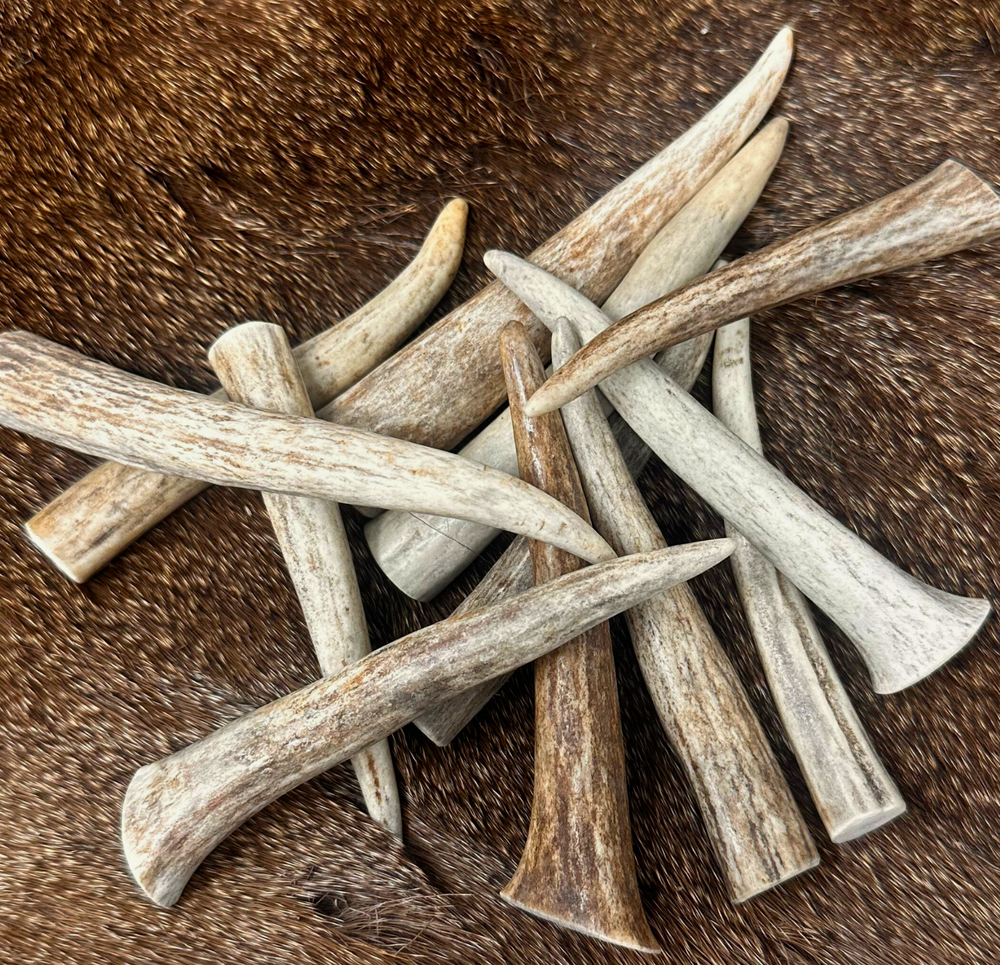 5 PACK - Premium *A* GRADE - Deer Antler Crafting Tips (Choose Size)
