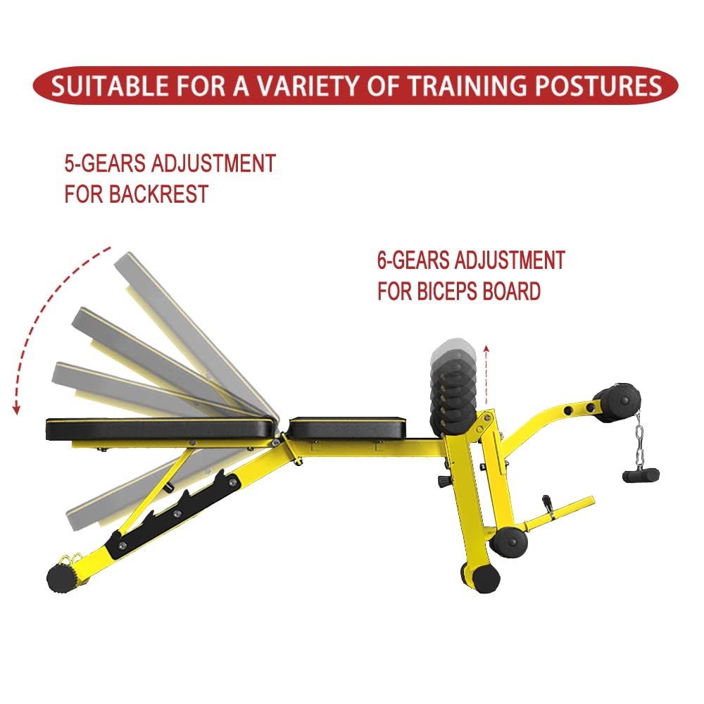 Utility Weight Bench with Leg Extension - Multi-Position Adjustable Bench for...