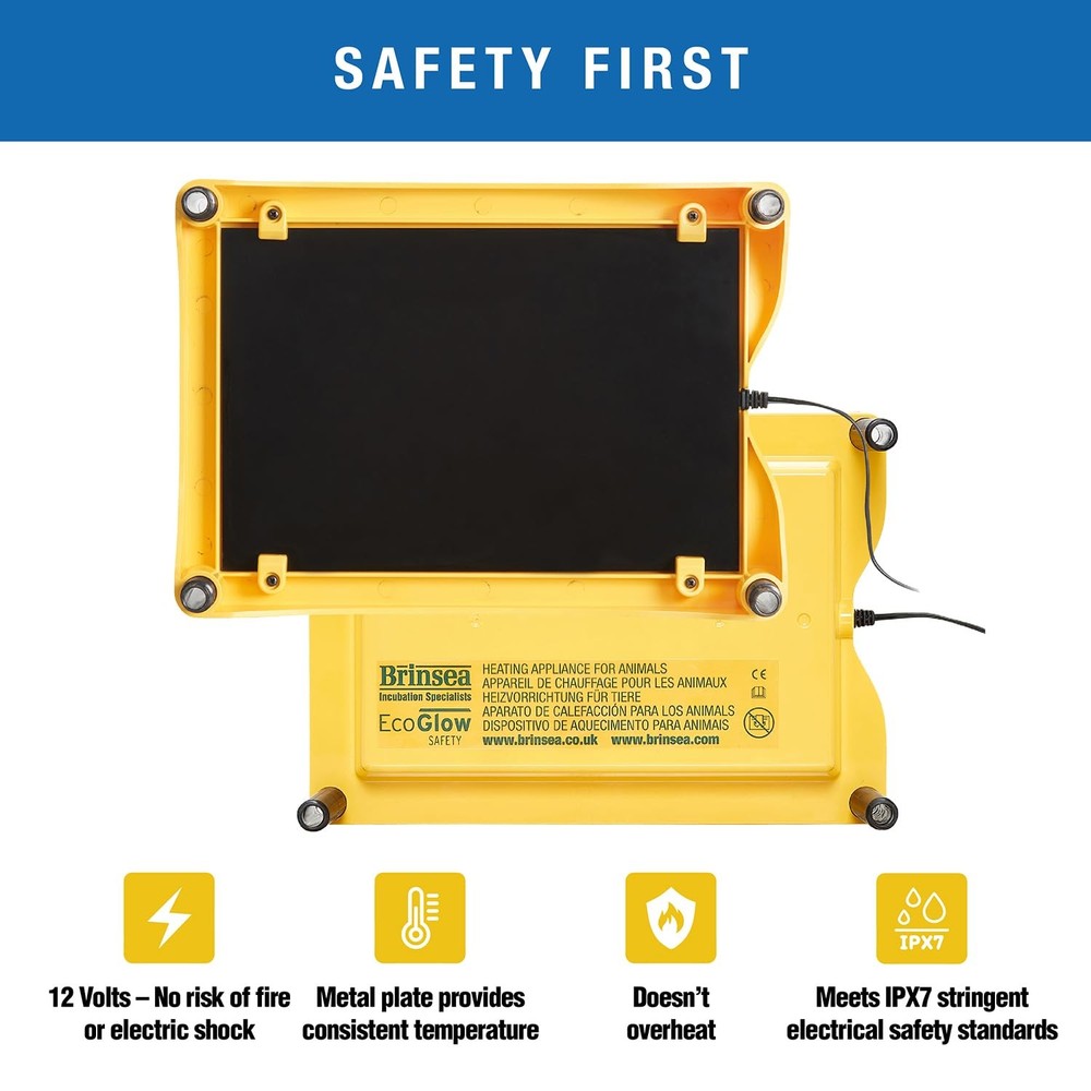 Products Ecoglow 20 Safety 600 Brooder for Chicks Or Ducklings, Yellow/Black