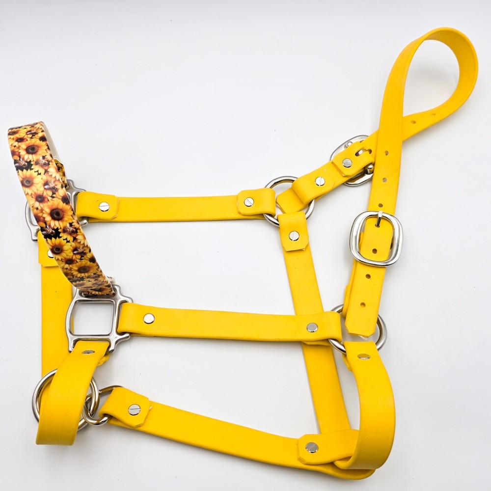 Biothane Horse Halter - Bumble Bee Sunflower