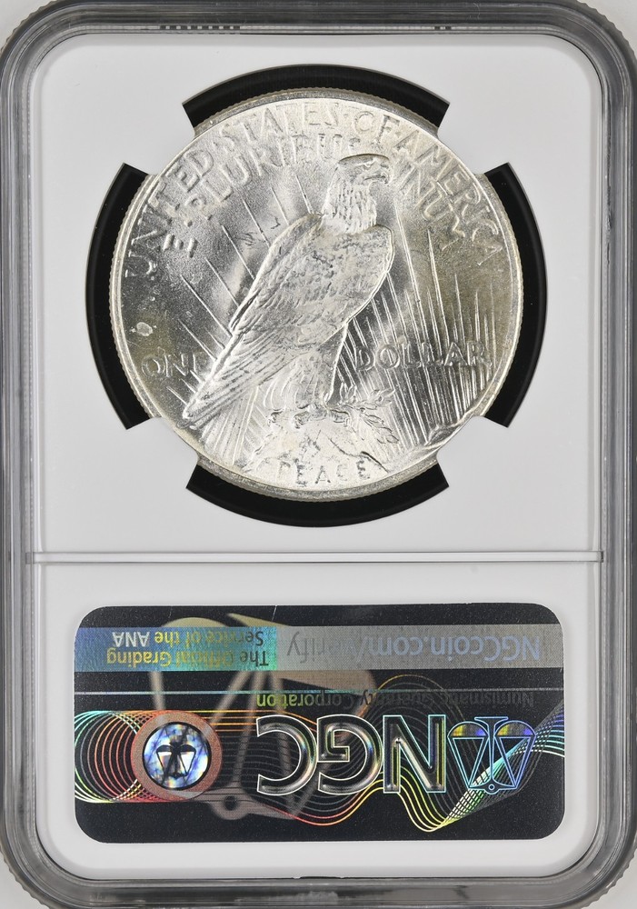 1925 Peace Dollar MS-66+ NGC COLLECTION VIDEO