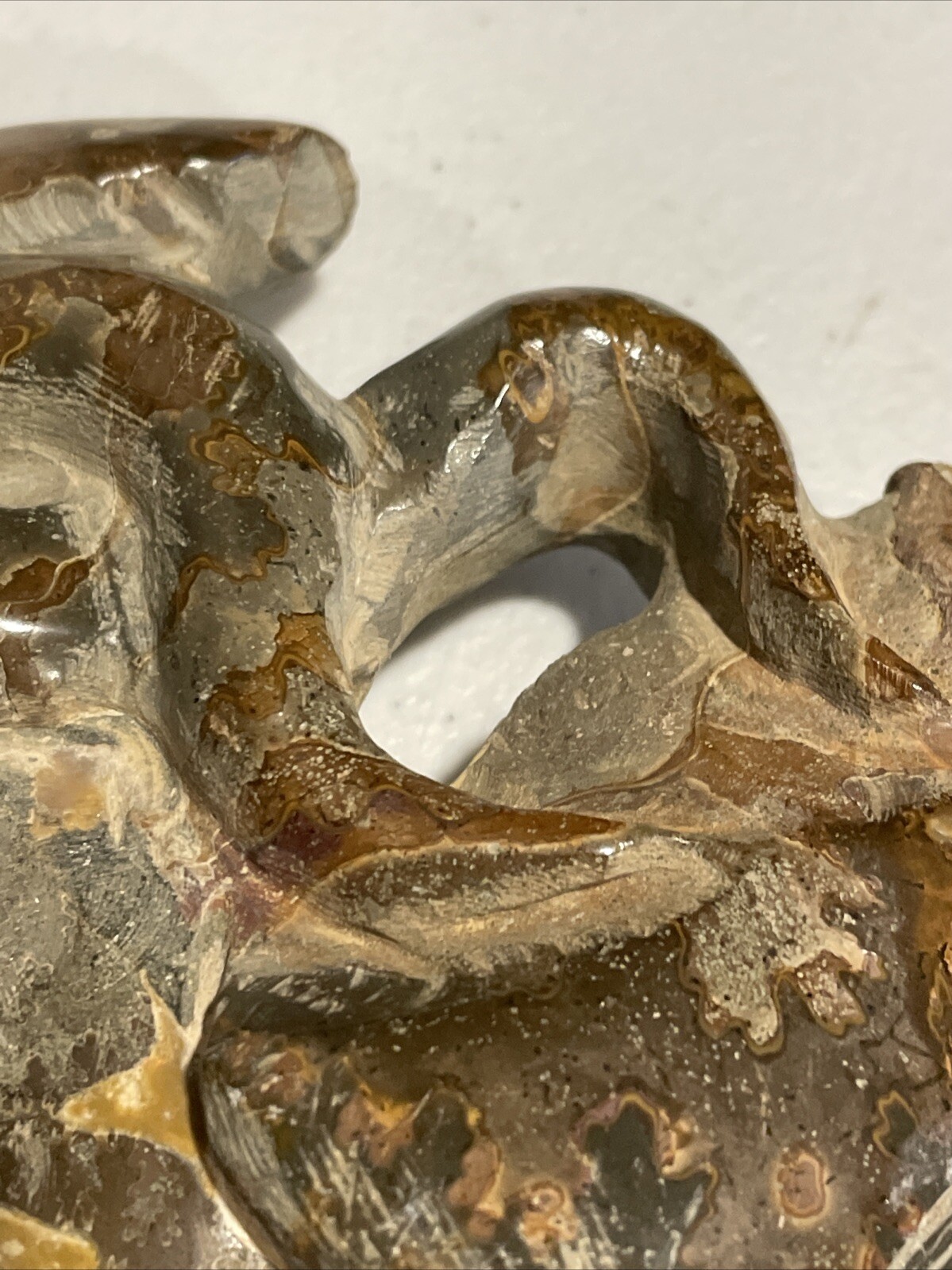 Small Fossilized Agatized Polished Ammonite Specimen 6 inches 1# 10oz