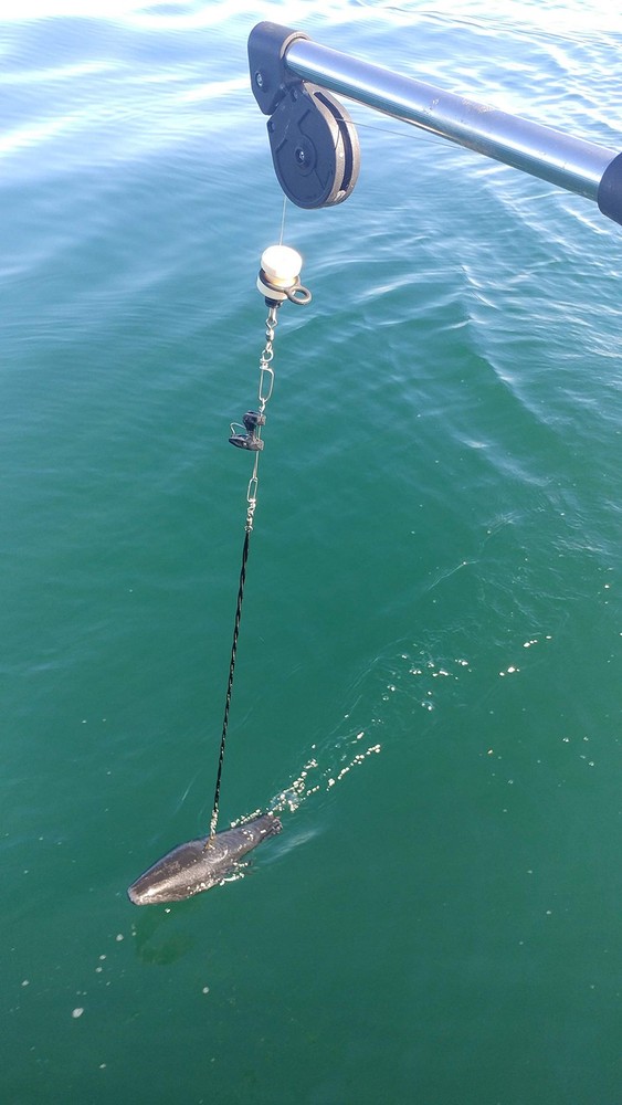 Downrigger Snubber Twin Pack, Clear