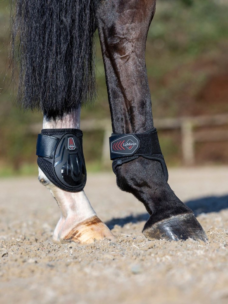 LeMieux Derby ProJump Fetlock Boot - Black
