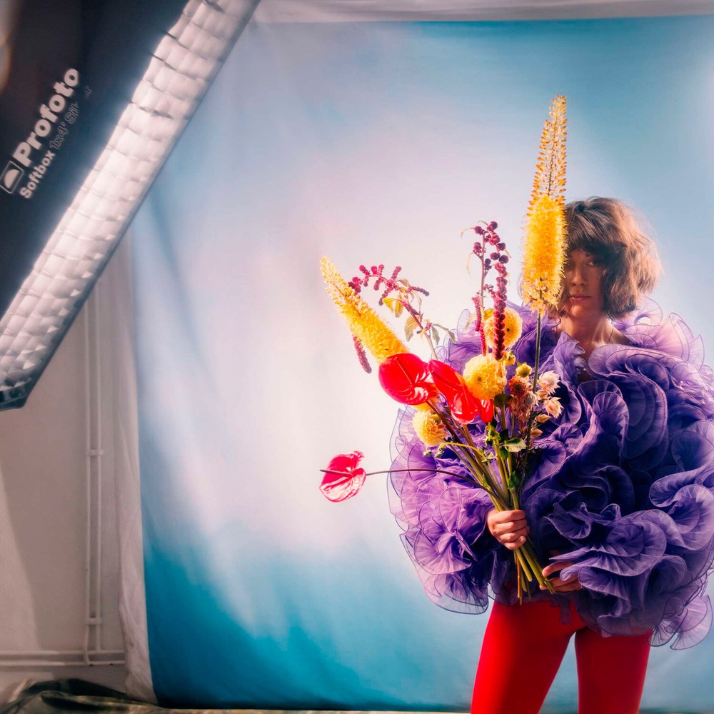 Profoto 2x3 Feet Softbox Rectangular Silver Soft Light with Precision Bundle