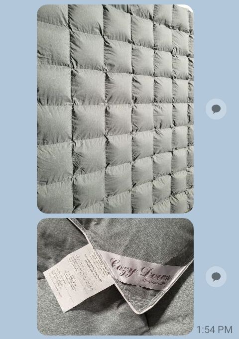 Angela Goose Down Comforter