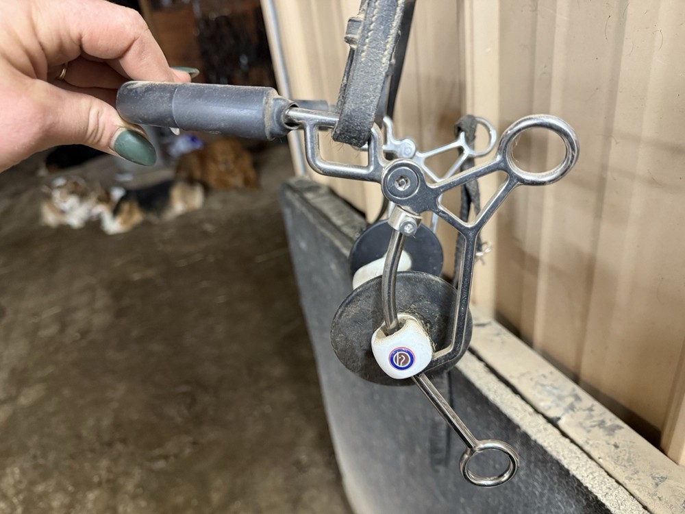 Trust Equestrian Combination Bit 5.5”