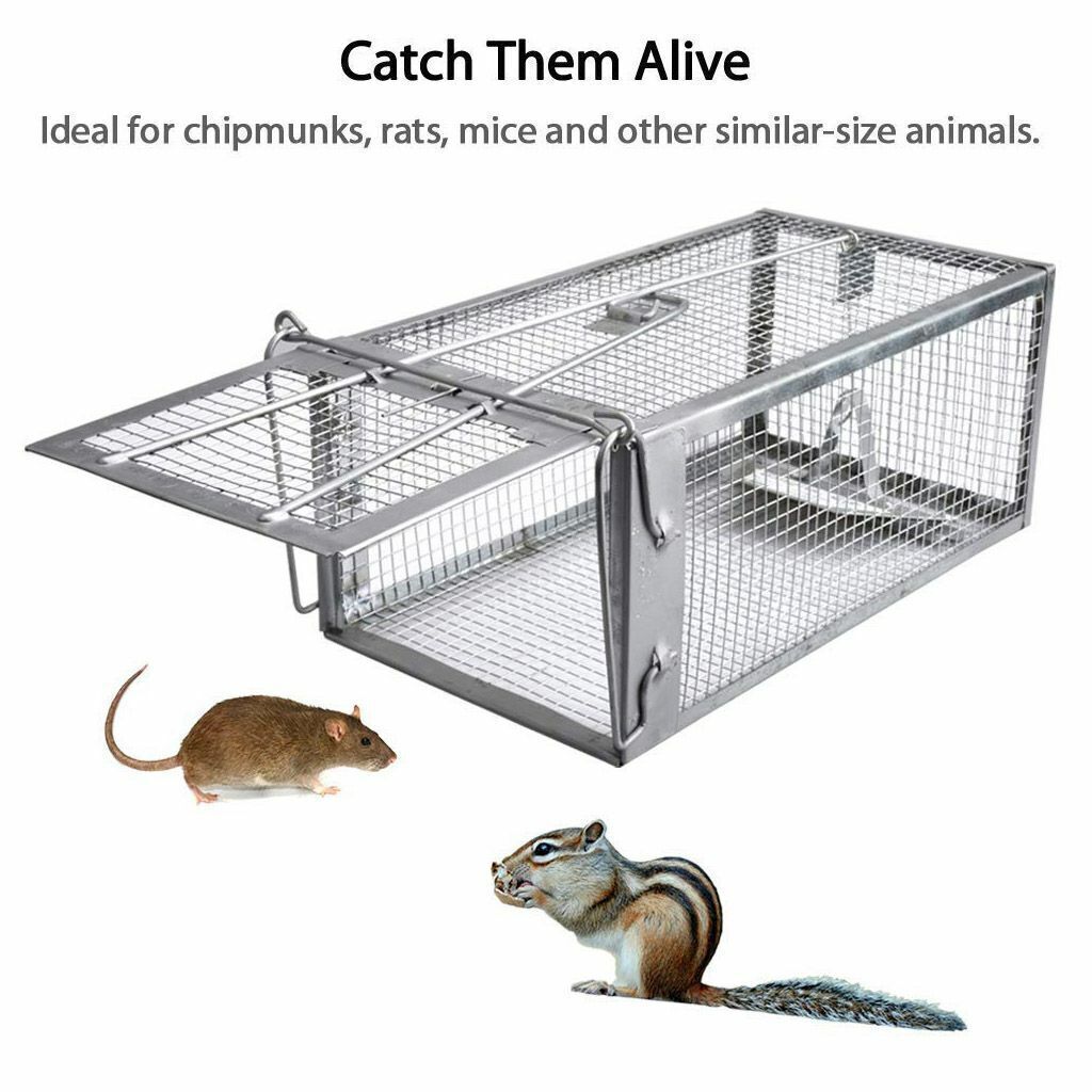 1-3x Live Humane Cage Trap For Squirrel Chipmunk Rat Mice Rodent Animal Catcher