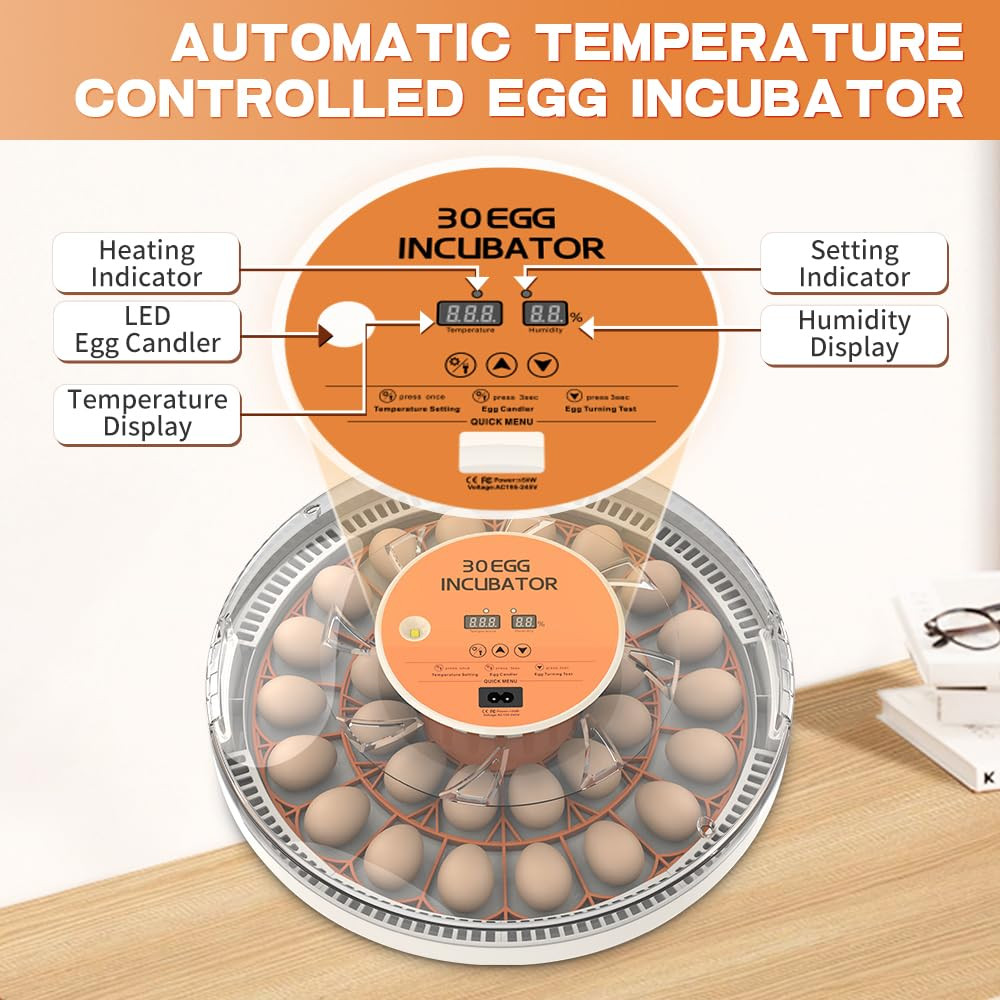 Incubators for Hatching Eggs，30 Egg Incubator,Egg Incubator with Automatic Egg T