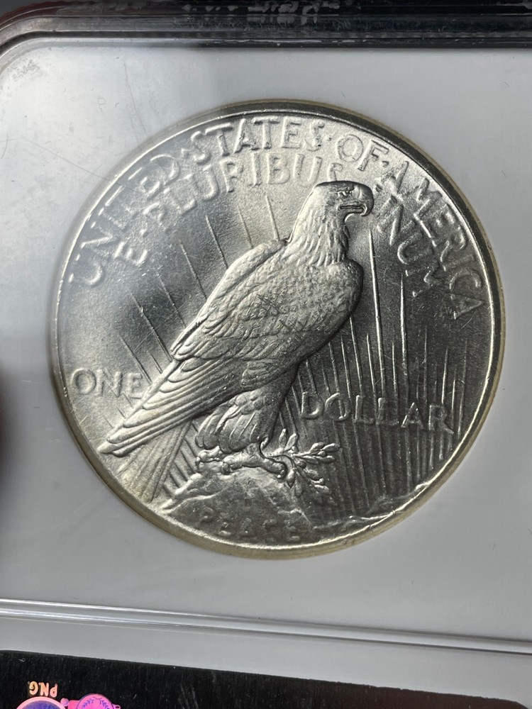 1926 NGC MS64 Peace Silver Dollar