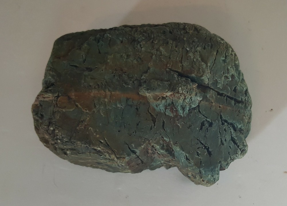 Petrified Wood Greenish, Rust, Black