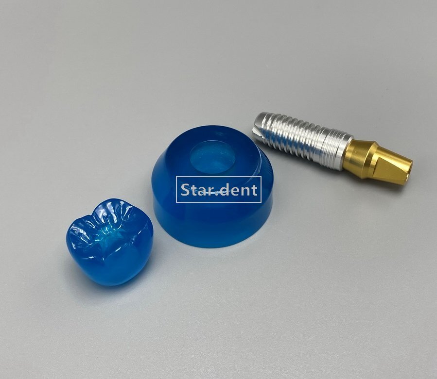 Dental Implant Teeth Model Detachable Abutment Crown Teaching Study Models