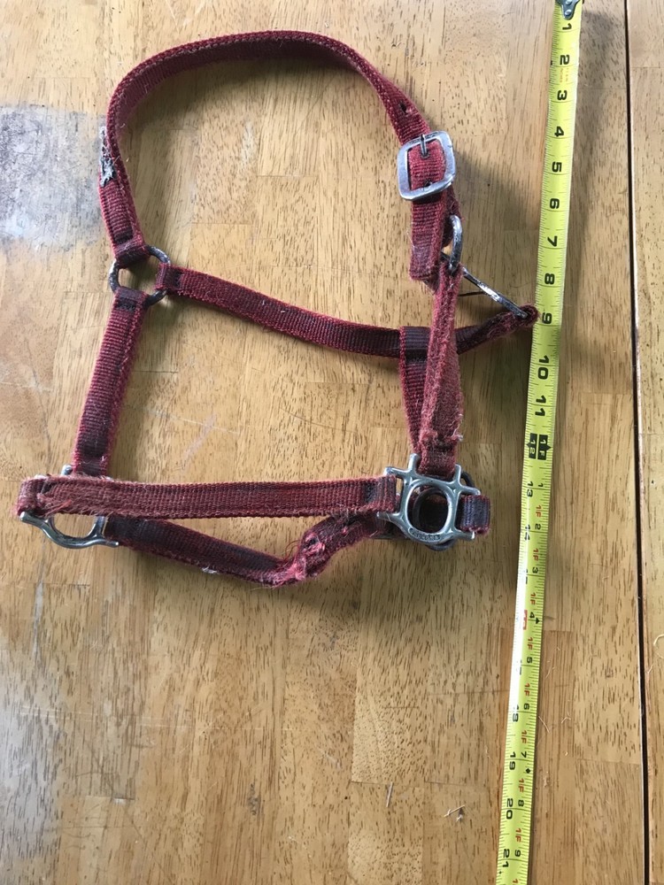 used red horse halter