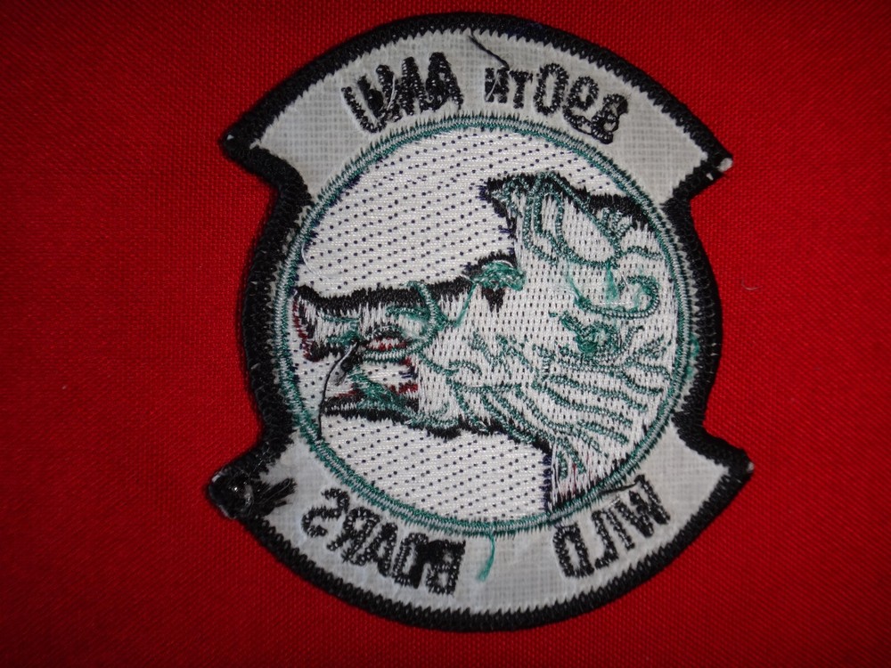 USAF 390th Aircraft Maintenance Unit (AMU) WILD BOARS Patch