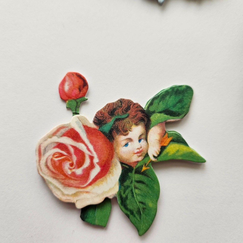 Anna Griffin 24 Pc. Embellishments Stickers