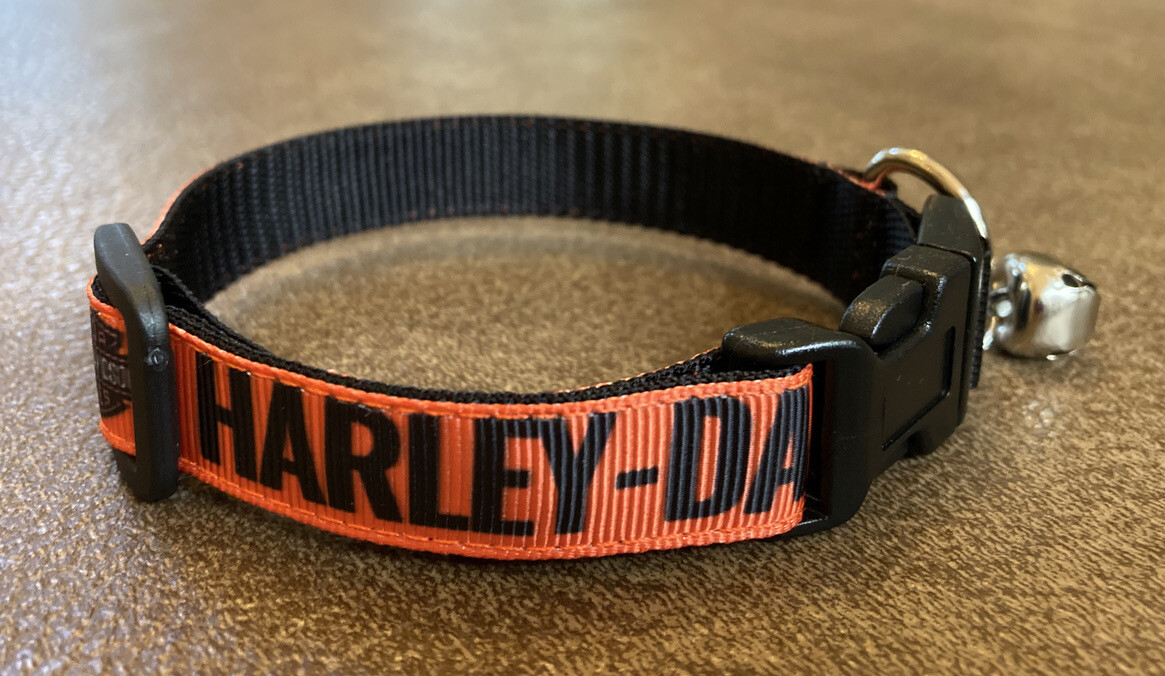 5/8 inch Wide Harley Cat Collar 2 Sizes on Nylon Webbing