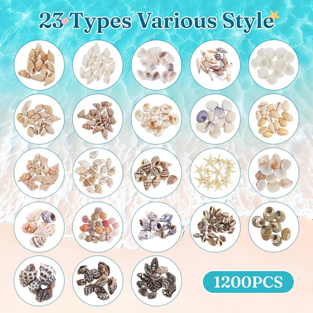 23 Types Small Sea Shells for Crafts, 1200 Pcs Tiny Seashells with Mixed Size...