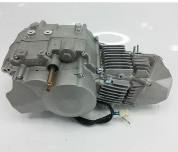 Daytona Anima 190cc Engine FS5 Model