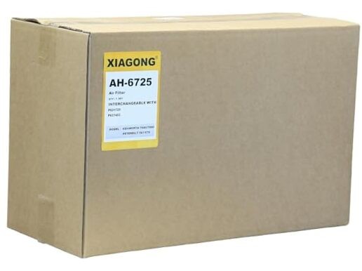 P637453 Engine Air Filter (Blue)