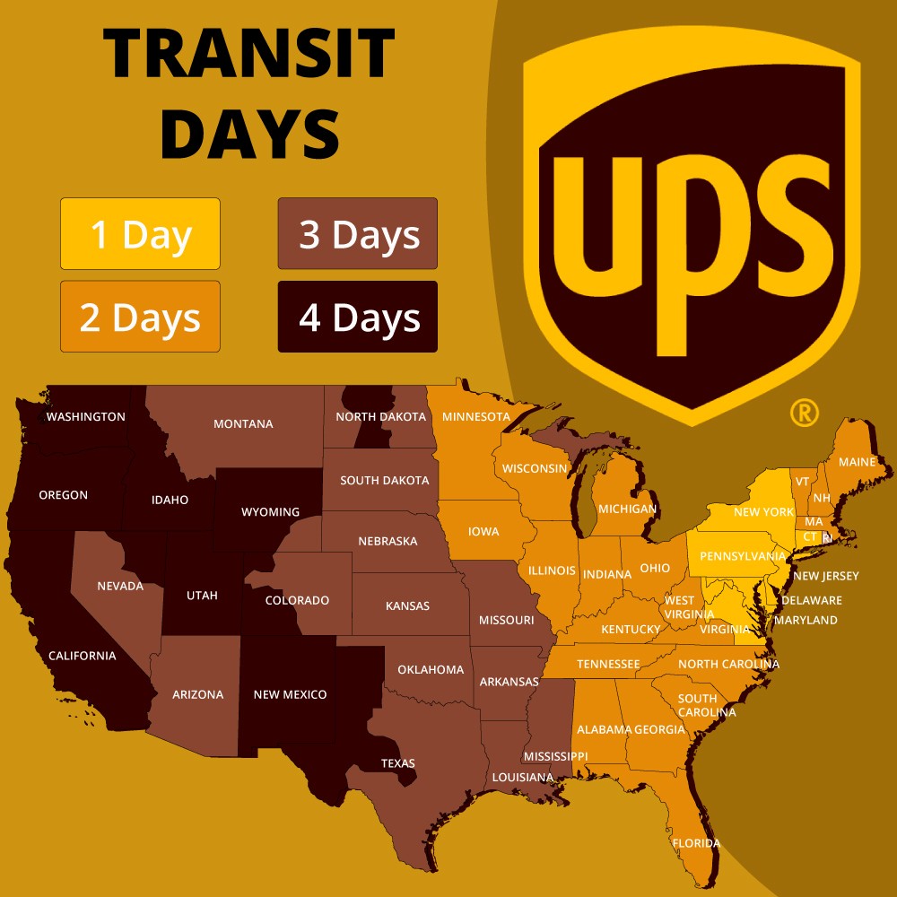 Cat6 Ethernet Cable 1000ft Riser CMR Solid 23AWG UTP 550MHz Pull Box Blue