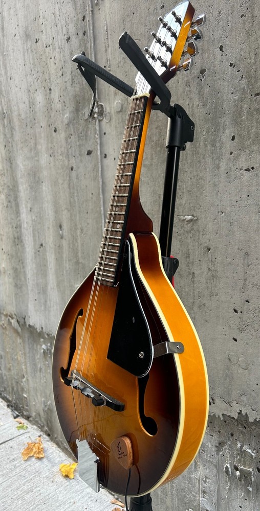 Savannah so-sa090-tsn Mandolin 8 string with Pickup (read)
