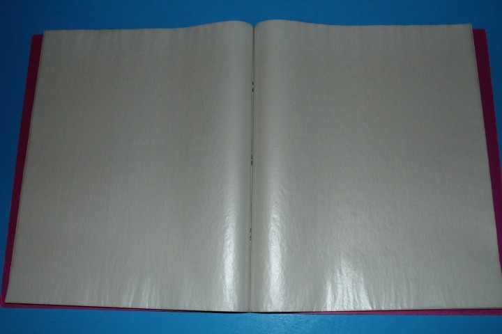 CMC Mint Sheet File Capacity 8 pgs 3 pocket 11.5" x 9.5" BlueLakeStamps NICE