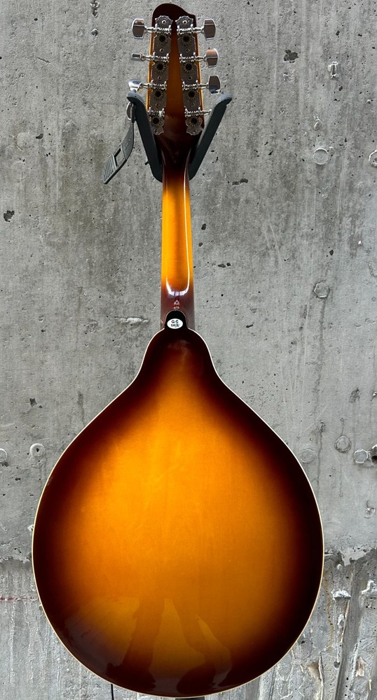 Savannah so-sa090-tsn Mandolin 8 string with Pickup (read)