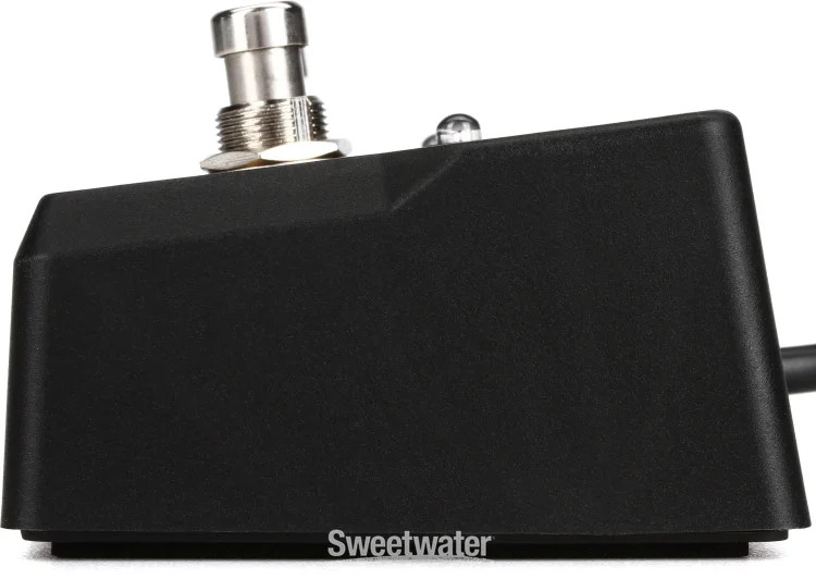 Blackstar FS-17 2-button Footswitch for Sonnet Series Amplifiers