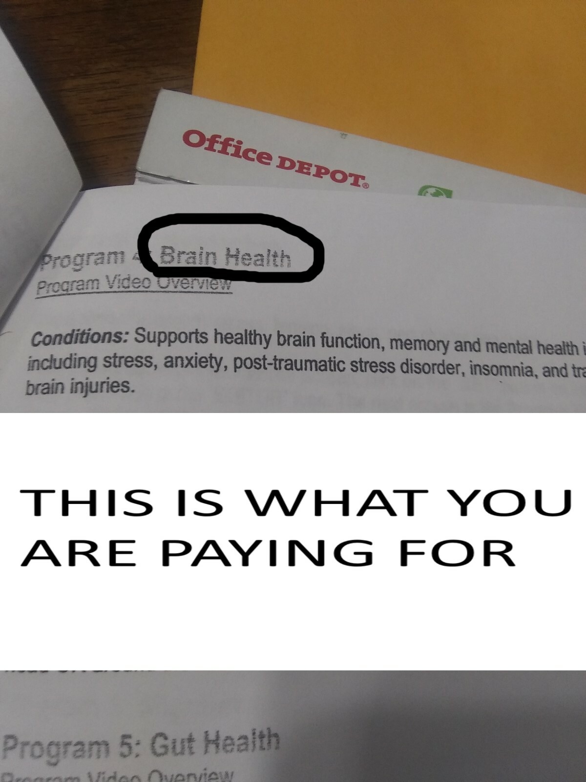 RARE BRAND NEW- PRO BEMER SET PROTOCOLS AND NOTES NOTEBOOK FROM SPECIAL SEMINARY