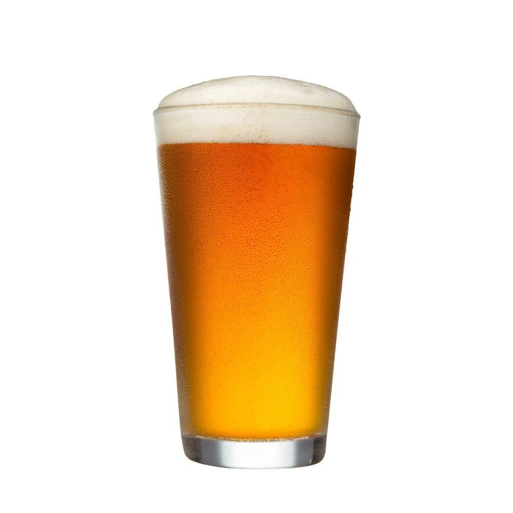 Craft Beer plus Beer Brewing Kit