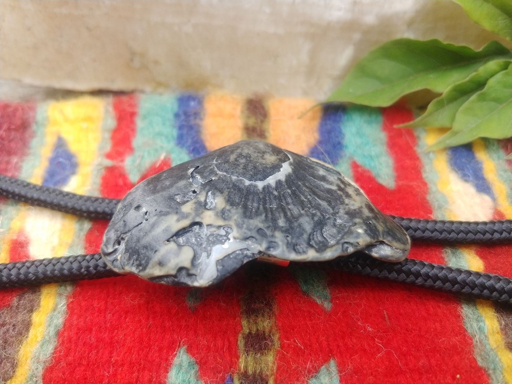 Handcrafted Black Clamshell Bolo Tie