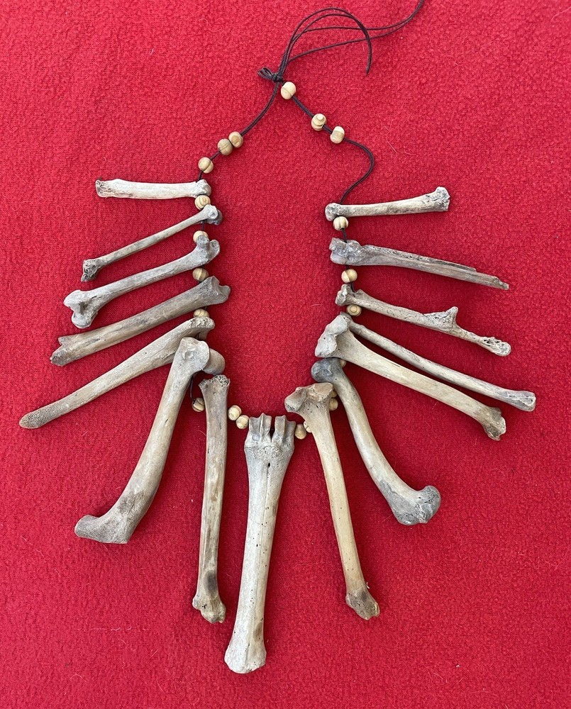 Extraordinary Old Aztec Xoloitzuintle Bone Shaman’s Necklace