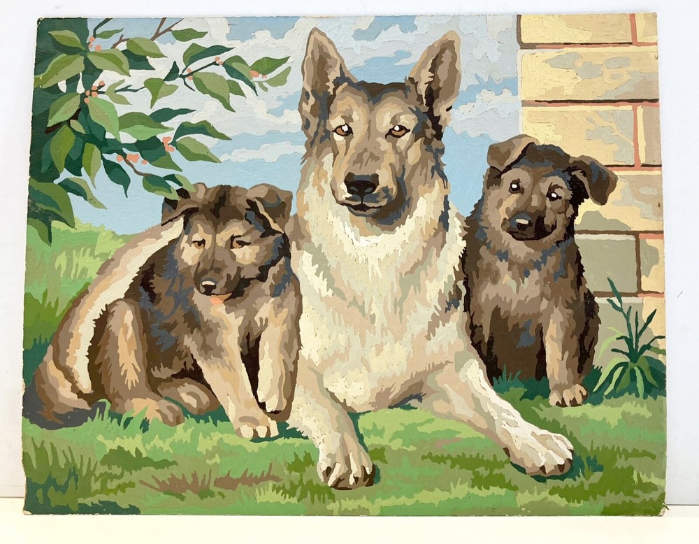 paint by number german shepherd dog painting