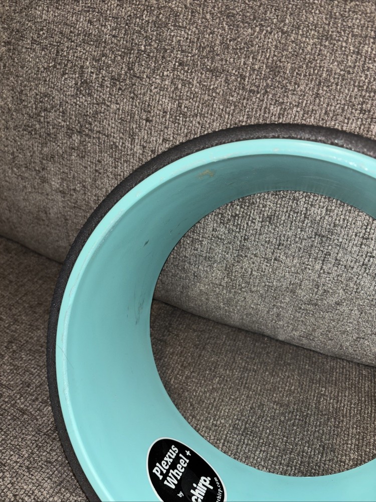 Chirp 10-inch Wheel with Padded Back Roller USED READ