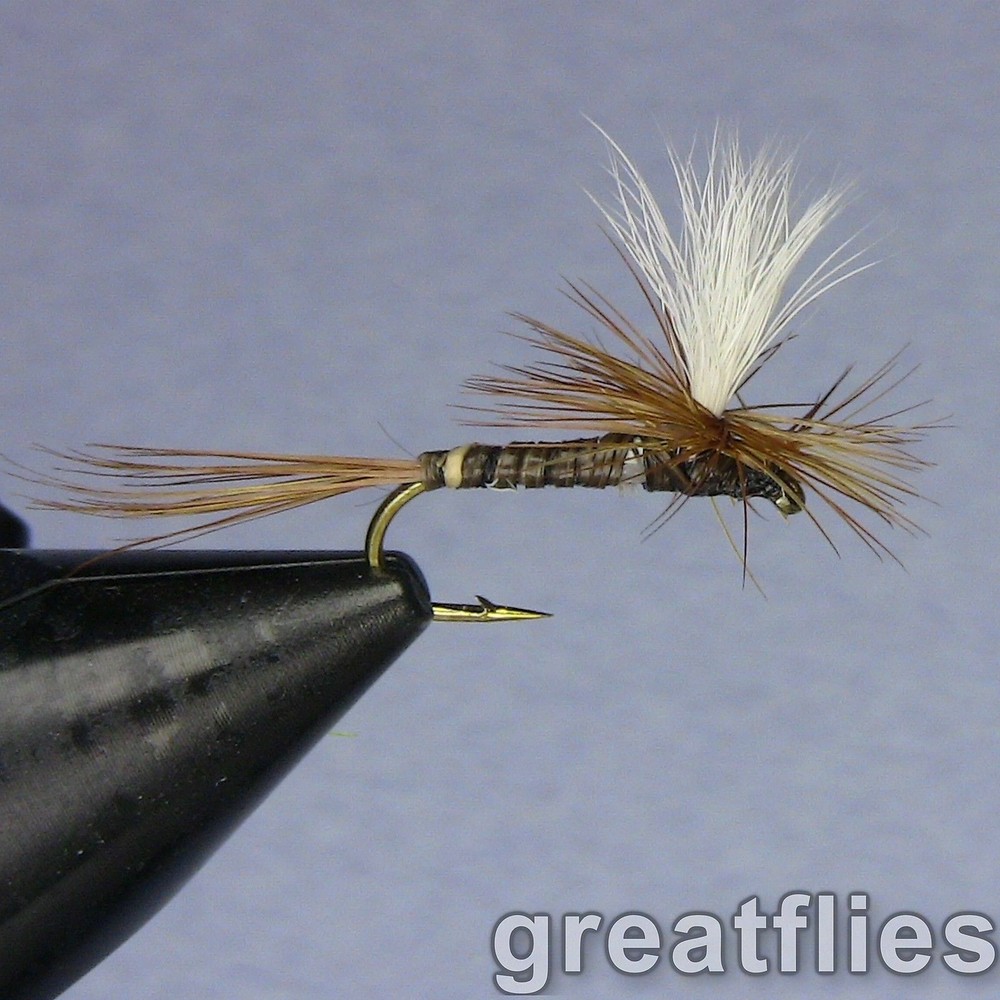 1 dozen (12) - Red Quill - PARACHUTE