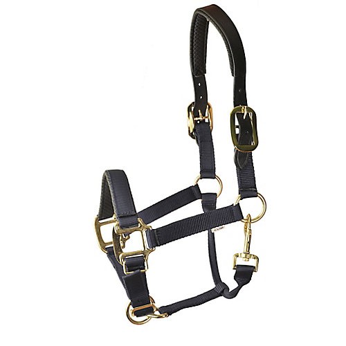 Gatsby Prem Nylon Padded Halter