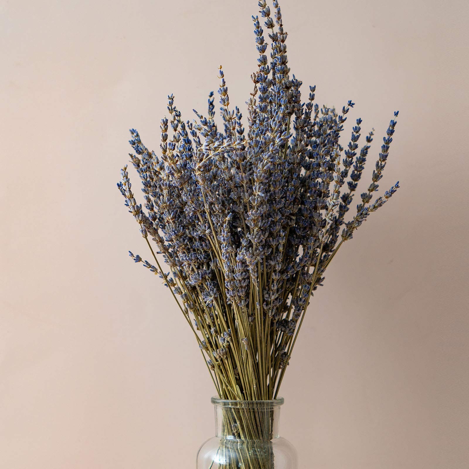 Dried Lavender Flowers Bundles 200 Stems Dry Lavender Bunch for Home 200+ stems
