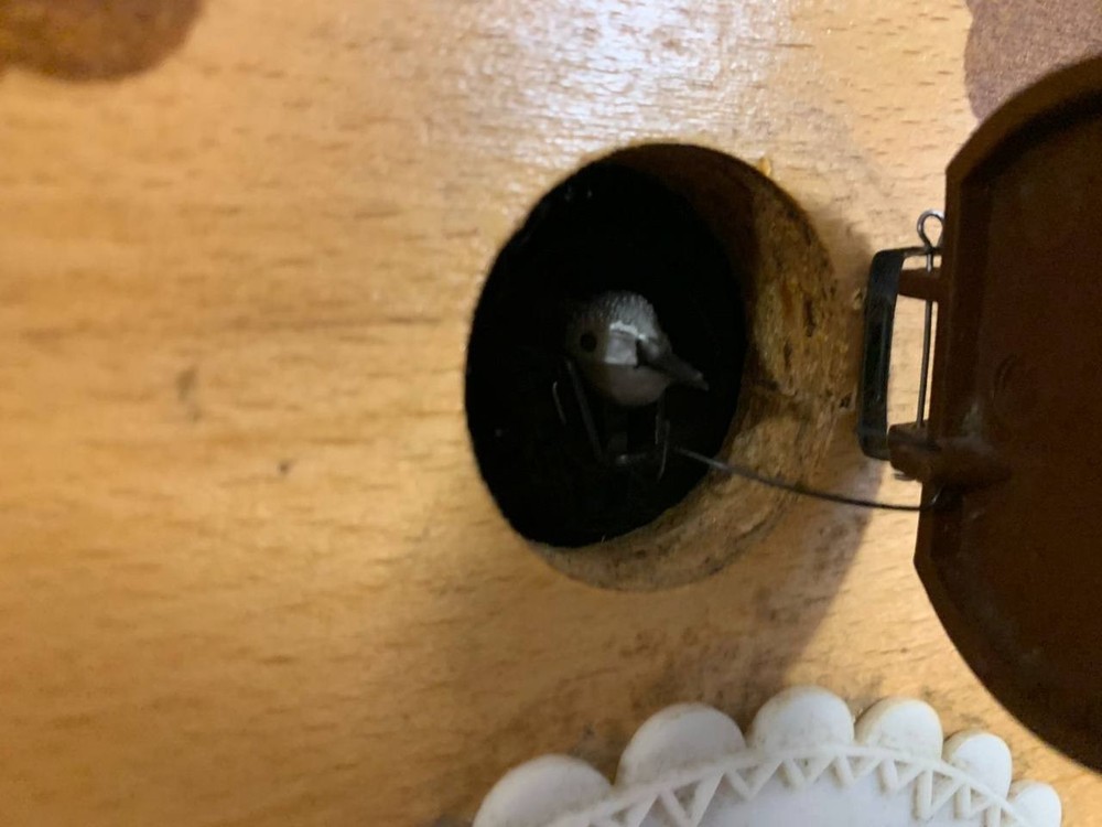 Soviet Vintage Cuckoo clock, USSR clock, Soviet working clock, Working cuckoo