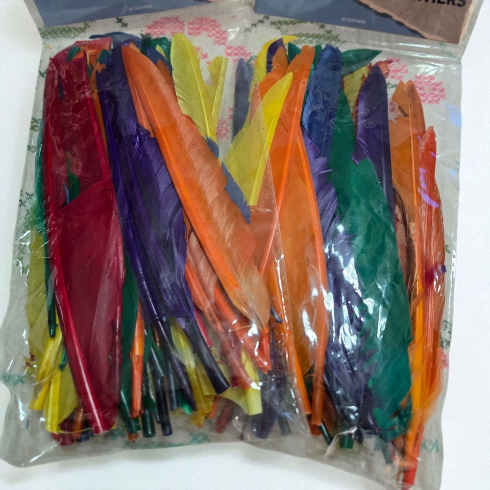 Multicolored Feathers 2 Bags 80 Feathers Total.           (E54)