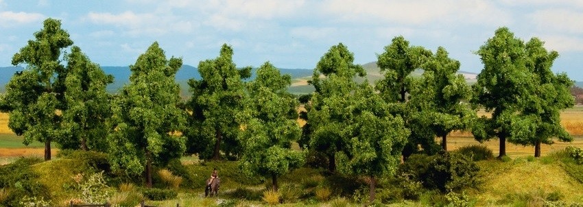 NOCH,6 Leafy trees 14 to 18 cm, , NOC24602