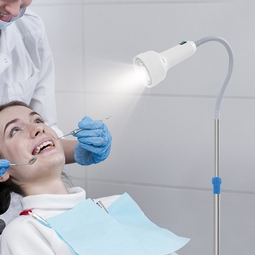 30W Adjustable LED Examination Light with Mobile Base & 360° Rotation